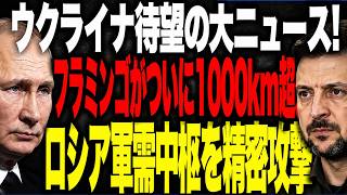 ウクライナ国産巡航ミサイル「フラミンゴ」に注目　長距離打撃能力の向上でロシア後方への影響は