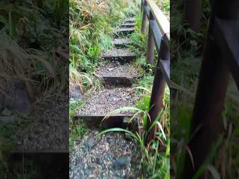 Subiendo el sendero en puerto cisnes #soydecarahue #patagoniachilena #carreteraaustral #aysén