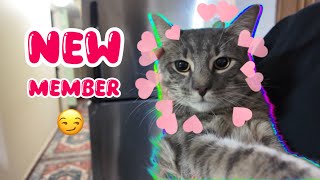 VLOG✨My Parents have Returned, Snacks from Bangladesh