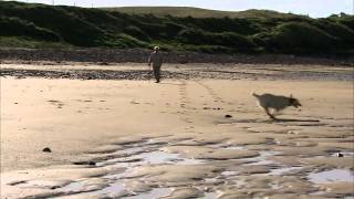 Visit Pembrokeshire - Relax