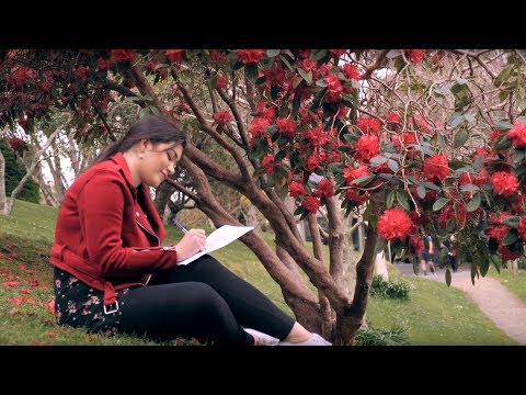 Student life at Victoria University of Wellington – an undergraduate perspective