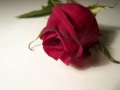 Blue - Chantal Kreviazuk; 