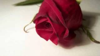 Blue - Chantal Kreviazuk;