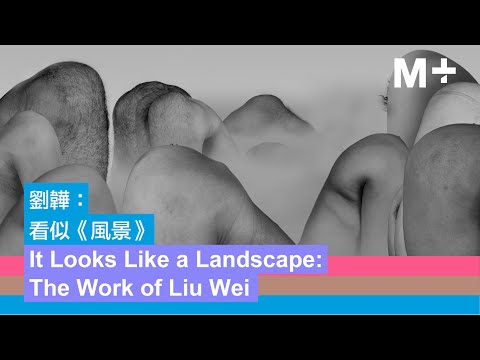 Artist Lens｜Liu Wei: On ‘Landscape’