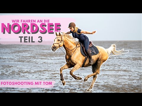 Der TRAUMURLAUB geht zu Ende - Teil 3 I Fotoshooting I Sachen packen