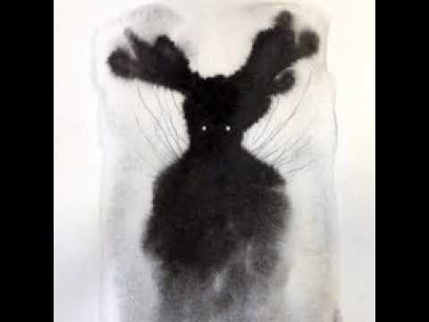 #370 - O Grande Deus Pã - Arthur Machen - Conto um Conto