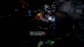 Download lagu Ojo Mung Isun #Shorts #StoryWa #story30detik mp3 Download lagu Ojo Mung Isun #Shorts #StoryWa #story30detik mp3
