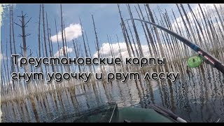 Ссылка