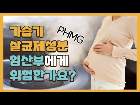 가습기살균제 성분 PHMG는 임산부에게 어떤 영향을 미칠까요?