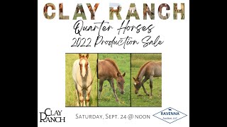 Clay Ranch Quarter Horses 2022 Production Sale Preview