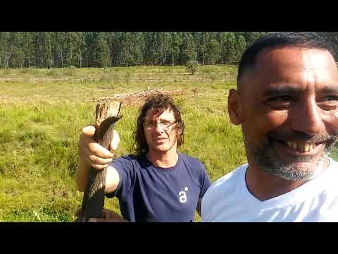 EXPEDICCION AL CERRO DE BEISSO , PAYSANDU , URUGUAY , CON RODOLFO MENDEZ Y MOISES BASSADONE PARTE 1