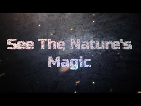 EXPERIENCE THE NATURE'S MAGIC ON YOUR WALL.