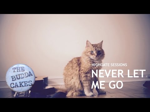HIGHGATE SESSIONS: The Budda Cakes - Never Let Me Go (acoustic)