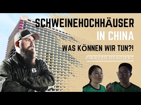 SCHWEINEHOCHHÄUSER!? Die Industrie in CHINA wird immer schlimmer! - Pikayzo reagiert