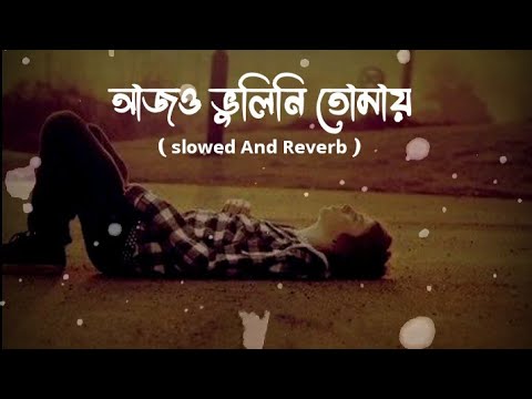 Bhulini Tomay | ভুলিনি তোমায় | (Slowed And Reverb) | Jisan Khan Shuvo | Rasel Khan | Zerin Khan |