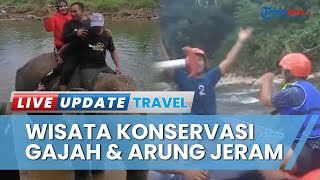 Serunya Main di Objek Wisata di Lokop Aceh Timur, Ada Konservasi Gajah hingga Arung Jeram