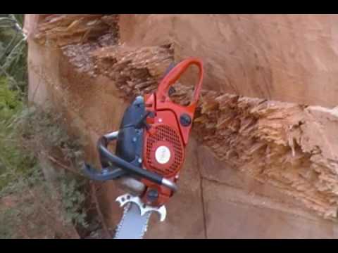 Dolmar 7900 the little saw that could!