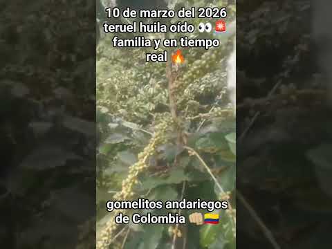 🌄 #Teruel, #Huila 🌄📍 Altitud: 910 metros sobre el nivel del mar.👥 Población: Aproximadamente 8,699