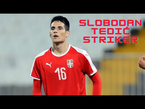 Slobodan Tedić | FK Čukarički - Goals, Assists and Best Skills