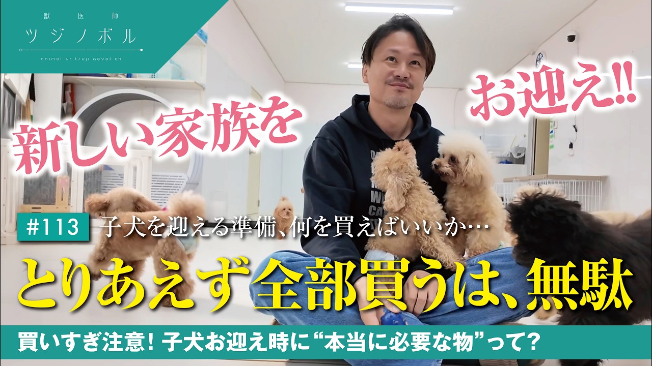 【保存版】買いすぎ注意！子犬お迎え時に“本当に必要な物”【獣医師ツジノボル】