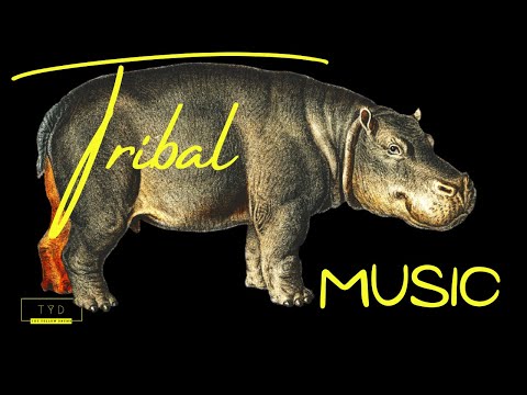 (Tribal Music African Drums Vol 20) Best African Relaxing Instrumental Music | Tribal Heavenly Hippo