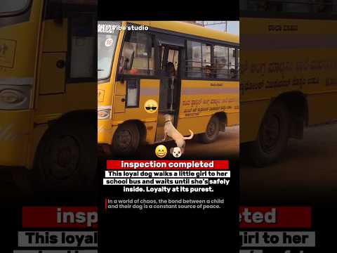 The World's Best Bodyguard! 🐕👧 Loyal Dog Escorts Little Girl to Her School Bus #animals #love #dog