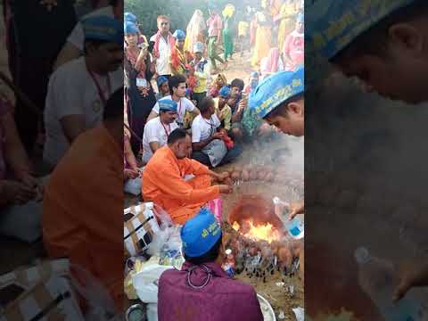 Jaharveer Goga ji Pooja