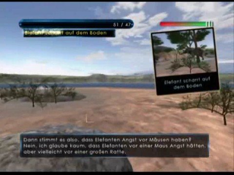 Safari Adventures : Afrique Wii