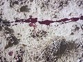Tv 02 Mp4