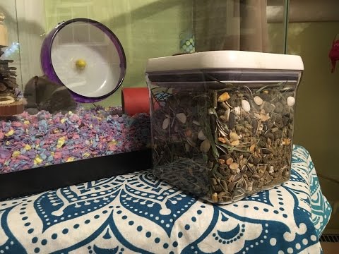 Peanut FREE Hamster Mix!