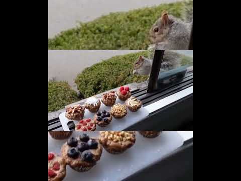 تیرے اتارے ہوئے دن۔❣️