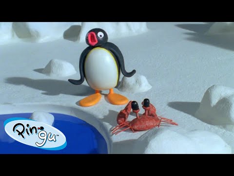 Pingu’s Animal Friends | Pingu – Official Channel | Cartoons For Kids - Kids (0-4), Kingdom Kids Zone - Pingu - Official Channel