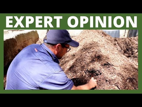 Worm Farming EXPERT Checks Out My Bedding Blends