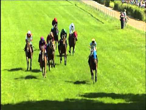 Galopprennbahn Dresden 07.06.2014 - 5.Rennen