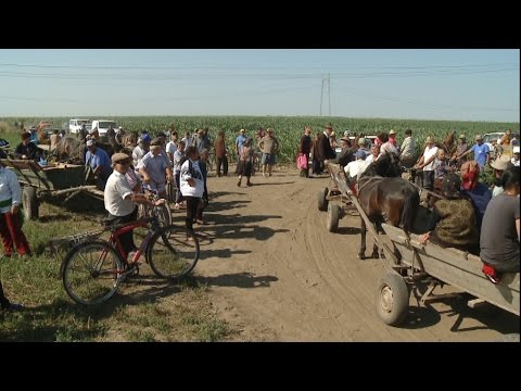 TV IALOMITA - "Revoltă pentru porumb la Mihail Kogălniceanu"