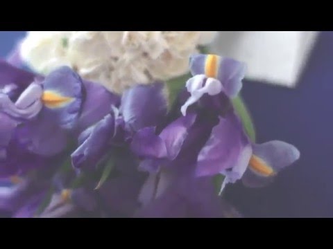 Claudia + Oscar Instagram