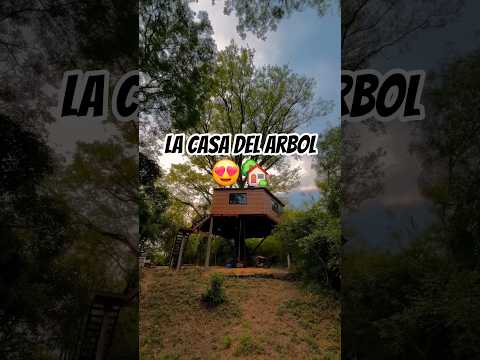 ASÍ ES LA CASA DEL ÁRBOL QUE SE CONSTRUYE EN SIETE PALMAS - FORMOSA 🇦🇷 #news #viral #shortsyoutube