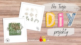 Papierové výrezy Kvety a listy 4,5-9 x 3,1-7,7 x 0,02 cm, 10ks/bal.