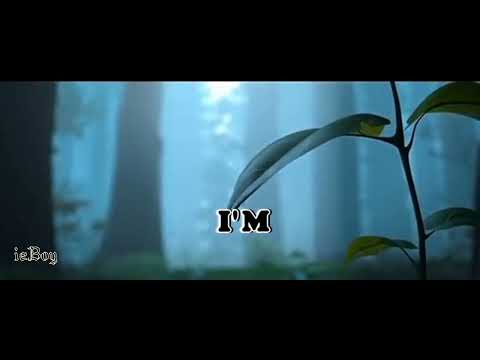 Eminem -Deep Purple - Johnny Cash The Way You Hurt Kill mR DJ MashUp