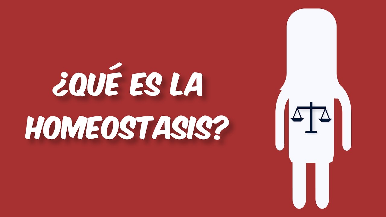 ¿Qué es la Homeostasis? | Videos Educativos | Ciencia