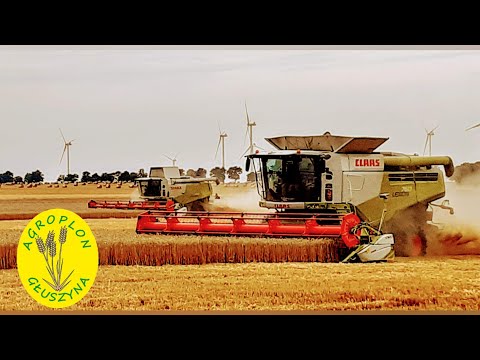 🔥Żniwa 2020 w Agroplon Głuszyna🔥 2X CLAAS LEXION 760 !