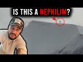 He Films a GIANT (Nephilim??), Goes Missing, then Tragedy Happens | Andrew Dawson | National Park
