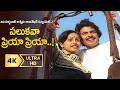 Palukava Priya Priya Song 4K 90s Beauty Ashwini Rajasekhar Duet America Abbayi Old Telugu Songs