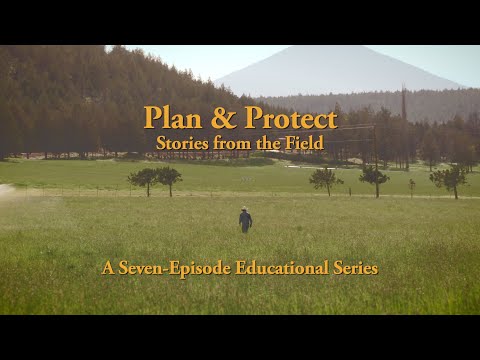 UNDERSCORE VIDEO video.