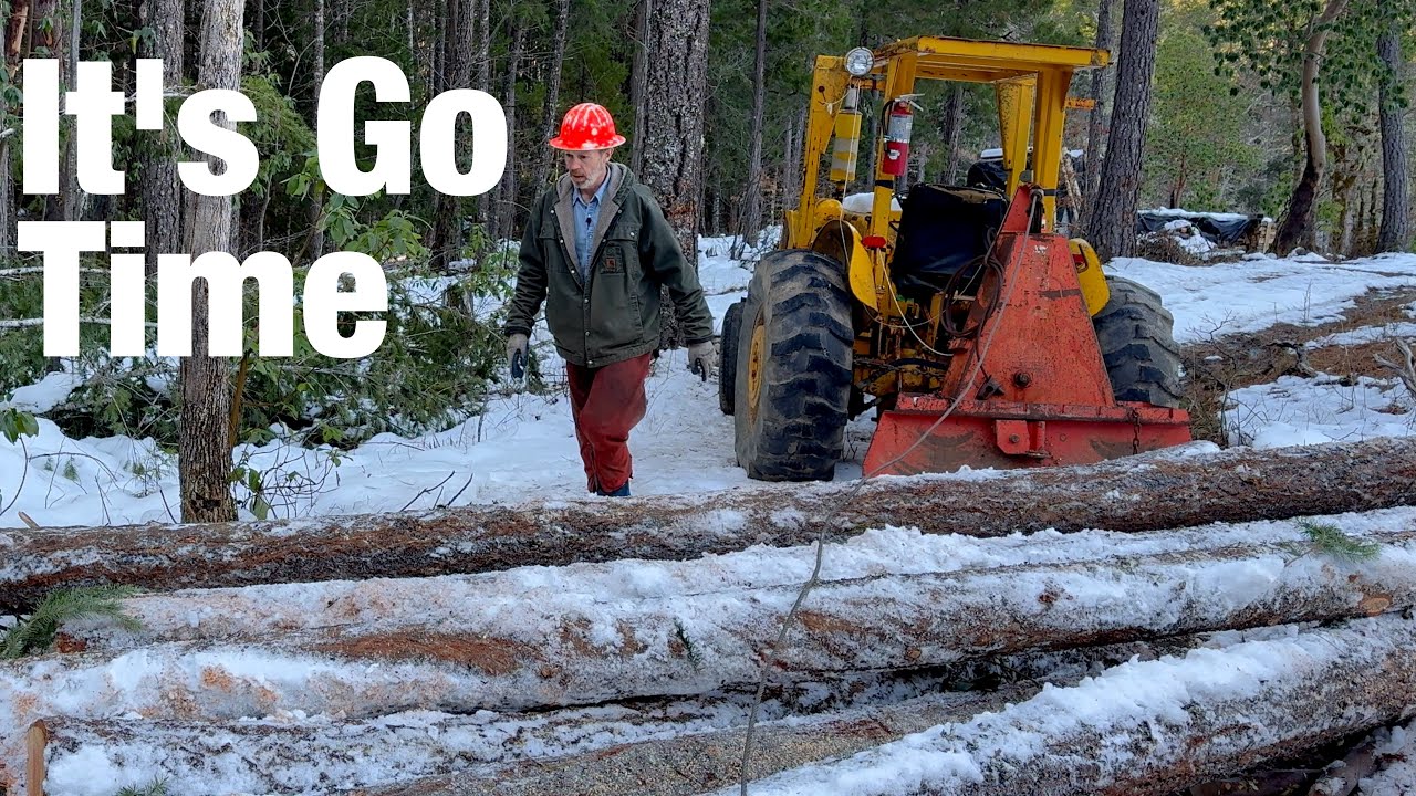 It's Finally the Best Conditions For Logging After Years of Waiting