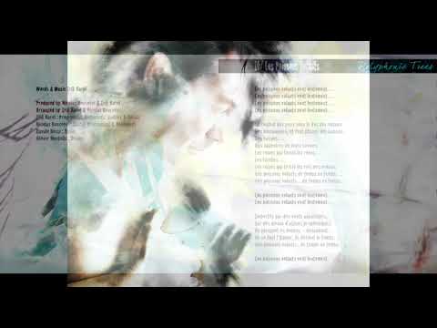 Les Poissons Volants - Official Audio