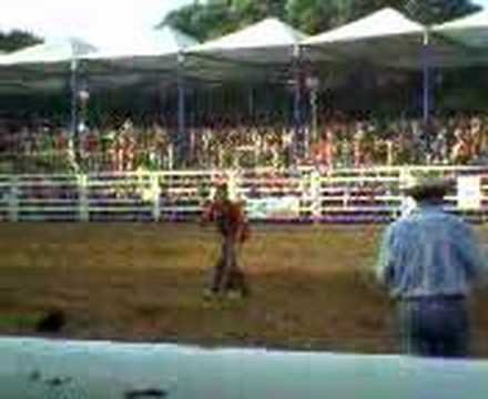 rodeio guaira 5