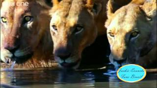 What a Wonderful World - Jackie Evancho