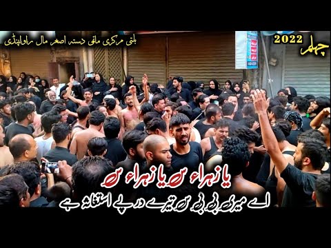 Ya Zahra (s.a) Ya Zahra (s.a) || Chehlum Rawalpindi 2022 || Markazi Dasta Hussainia Baltistania 2022