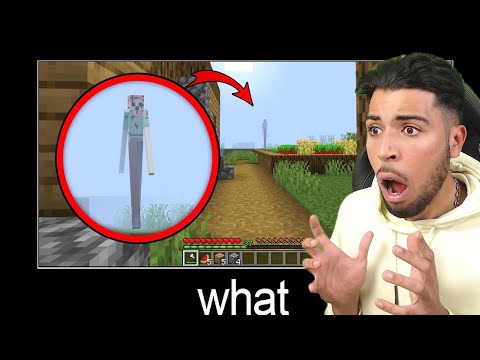 WORLD'S WORST MINECRAFT BUG!  He is scary